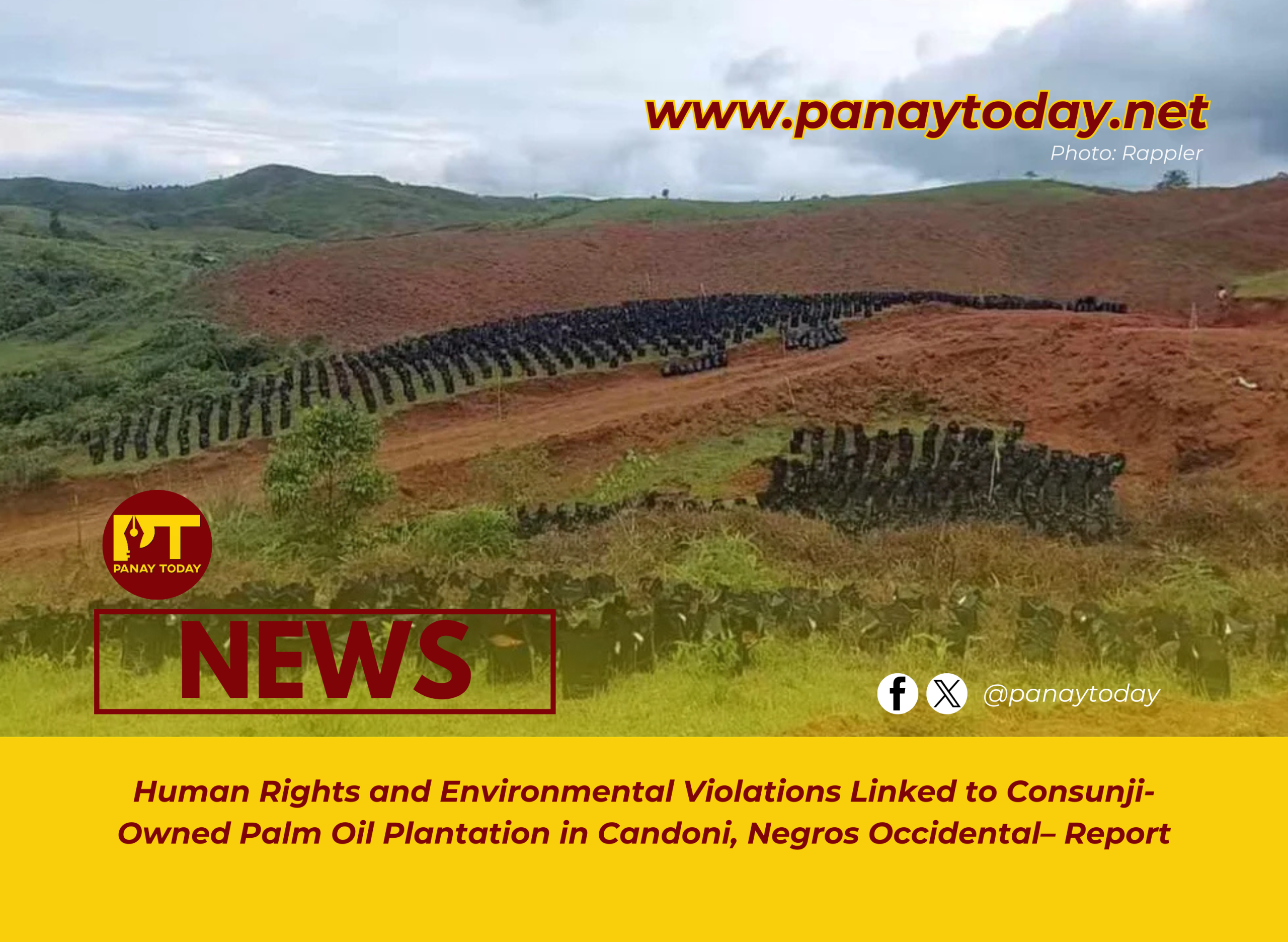 Human Rights and Environmental Violations Linked to Consunji-Owned Palm Oil Plantation in Candoni, Negros Occidental– Report